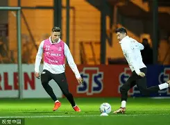 爱游戏体育- 莱万什么水平 